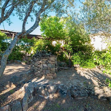 Villa Lilly Olbia Exterior foto